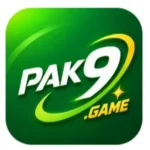 PK9 Game